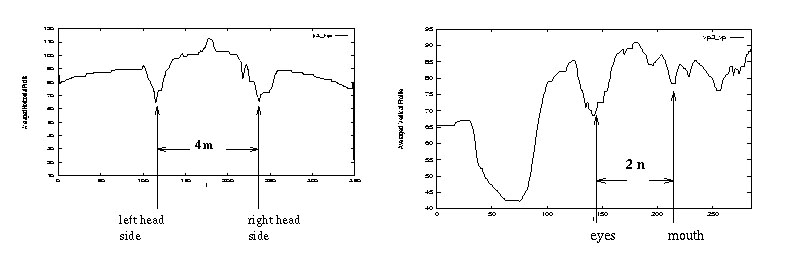 Horizontal and vertical profiles