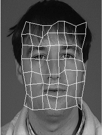 Best grid for test person BS after elastic graph matching with the model grid