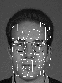 Best grid for test person TD after elastic
graph matching with the model grid for person BS