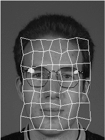 Best grid for test person TD after elastic
graph matching with the model grid