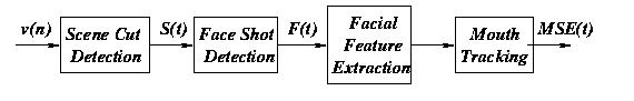 Video Processing Module